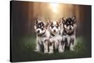 Stretched Canvas