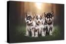 Stretched Canvas