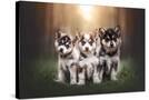 Stretched Canvas