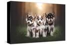 Stretched Canvas
