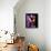 Natalie Imbruglia-null-Framed Stretched Canvas displayed on a wall