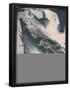 Essential Black