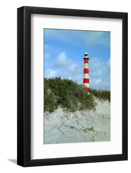 Photo, , large