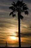 Sunset, Santa Monica Beach-Natalie Tepper-Photo