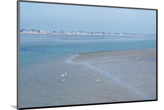 Photo, , large