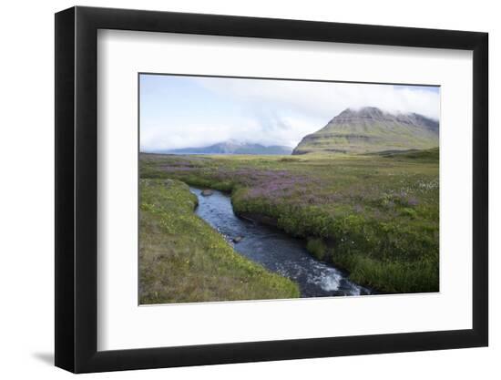 Photo, , large
