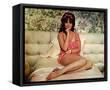 Framed Canvas