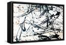 Framed Canvas