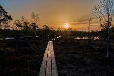 Golden Hour Landscape of a Wooden Hiking Path N the Wetlands of the Cosumnes River Preserve in Galt-Natalja Petuhova-Photographic Print