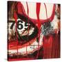 Stretched Canvas