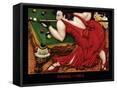 Framed Canvas