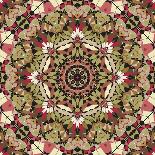 Kaleidoscope Pattern-natbasil-Stretched Canvas