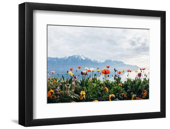 Premium Photographic Print, , large
