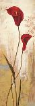 Panneau coquelicots-Nathalie Besson-Framed Stretched Canvas