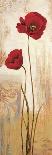 Panneau coquelicots-Nathalie Besson-Framed Stretched Canvas