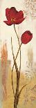 Panneau coquelicots-Nathalie Besson-Framed Stretched Canvas