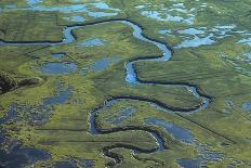 Aerial of the Headwaters of Mississippi River, about 8 Miles from its Source at Itasc…, 1976 (Photo-Nathan Benn-Giclee Print