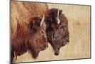 Wood Mount