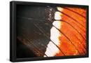 Essential Black