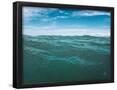 Essential Black