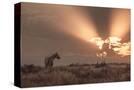Stretched Canvas