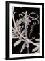 Gramercy Black
