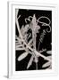 Gramercy White