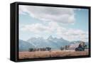 Canvas Black