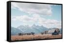 Canvas Black