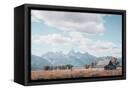 Canvas Black