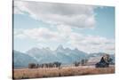 Stretched Canvas