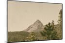 Wood Mount