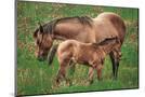 Wood Mount