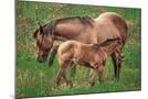 Wood Mount