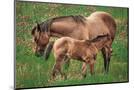 Wood Mount