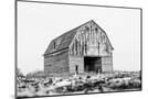 Wood Mount