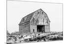 Wood Mount