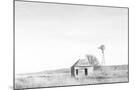 Wood Mount