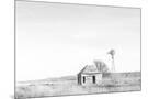 Wood Mount