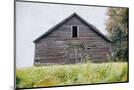 Wood Mount