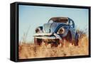 Framed Canvas
