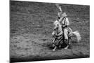 Wood Mount