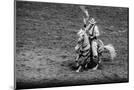 Wood Mount