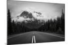 Wood Mount