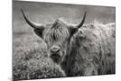 Wood Mount