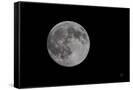 Canvas Black
