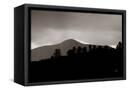 Canvas Black