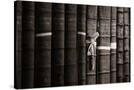 Stretched Canvas