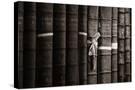 Stretched Canvas