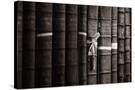 Stretched Canvas